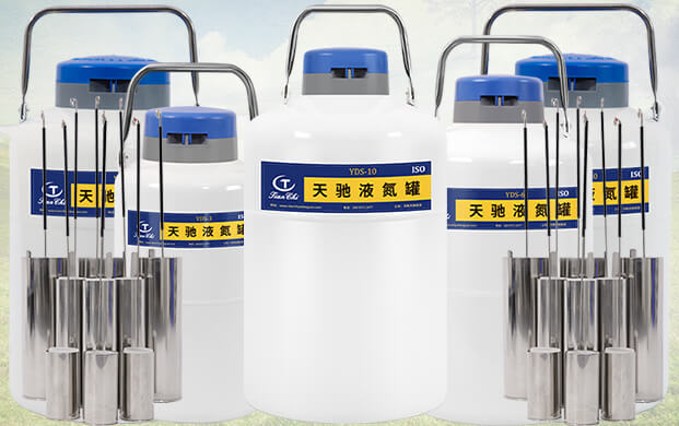 10升液氮罐能裝多少支凍精？