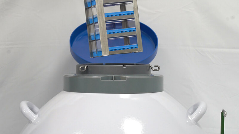 細菌可以凍在實驗室液氮罐里嗎