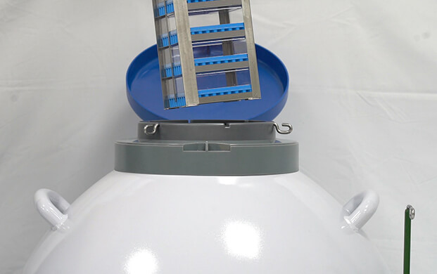 細(xì)菌可以凍在實(shí)驗(yàn)室液氮罐里嗎?